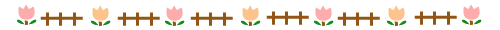 line.gif (3175 bytes)